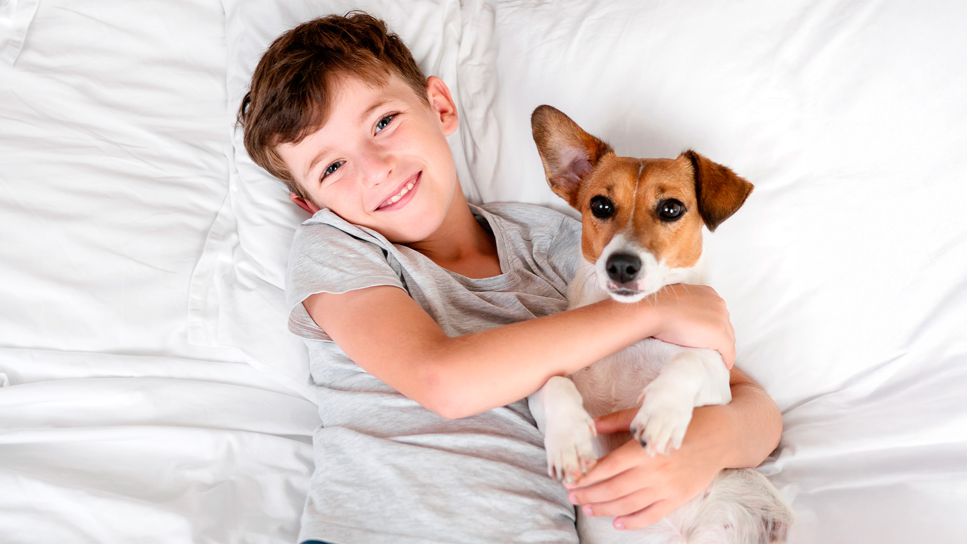 boy and dog on bed